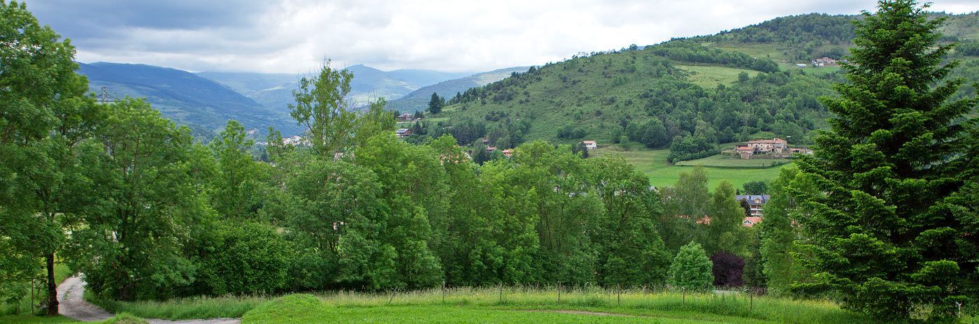 A rural landscape with a path leading through a forest, houses in the background, and hills in the distance.