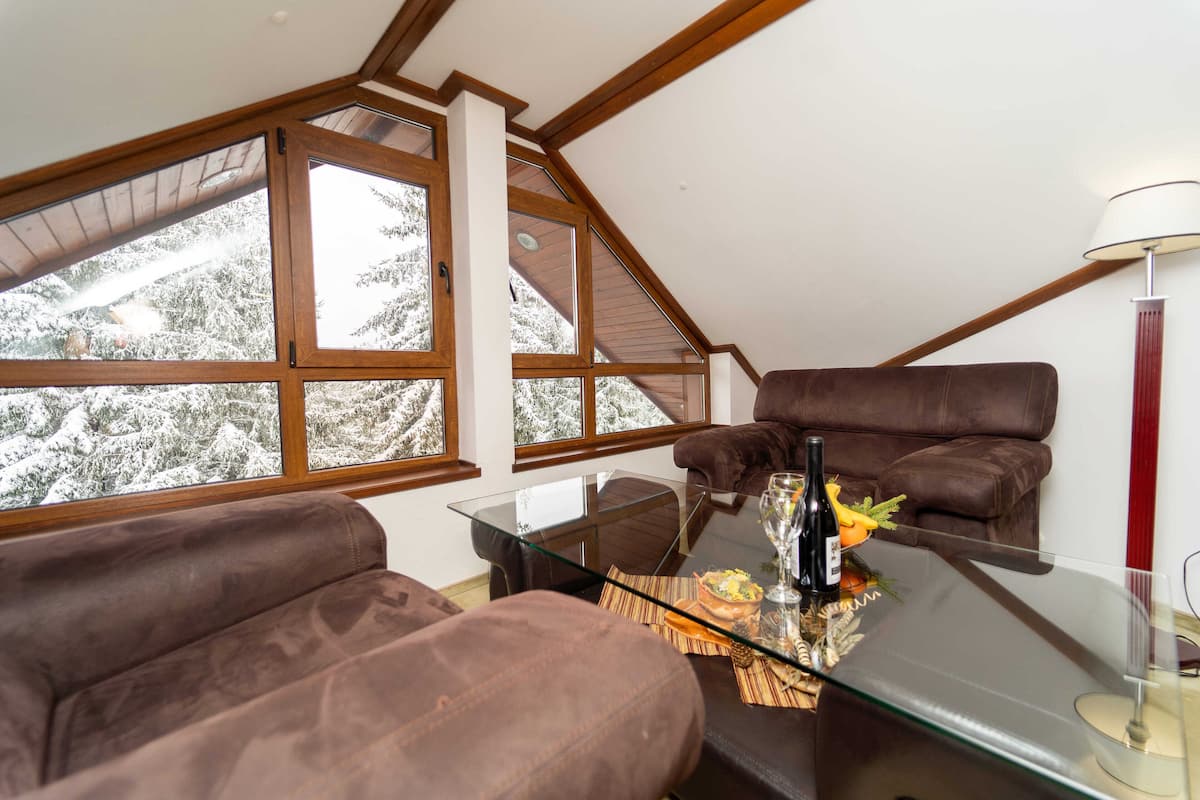 VIP Suite | Living area | TV