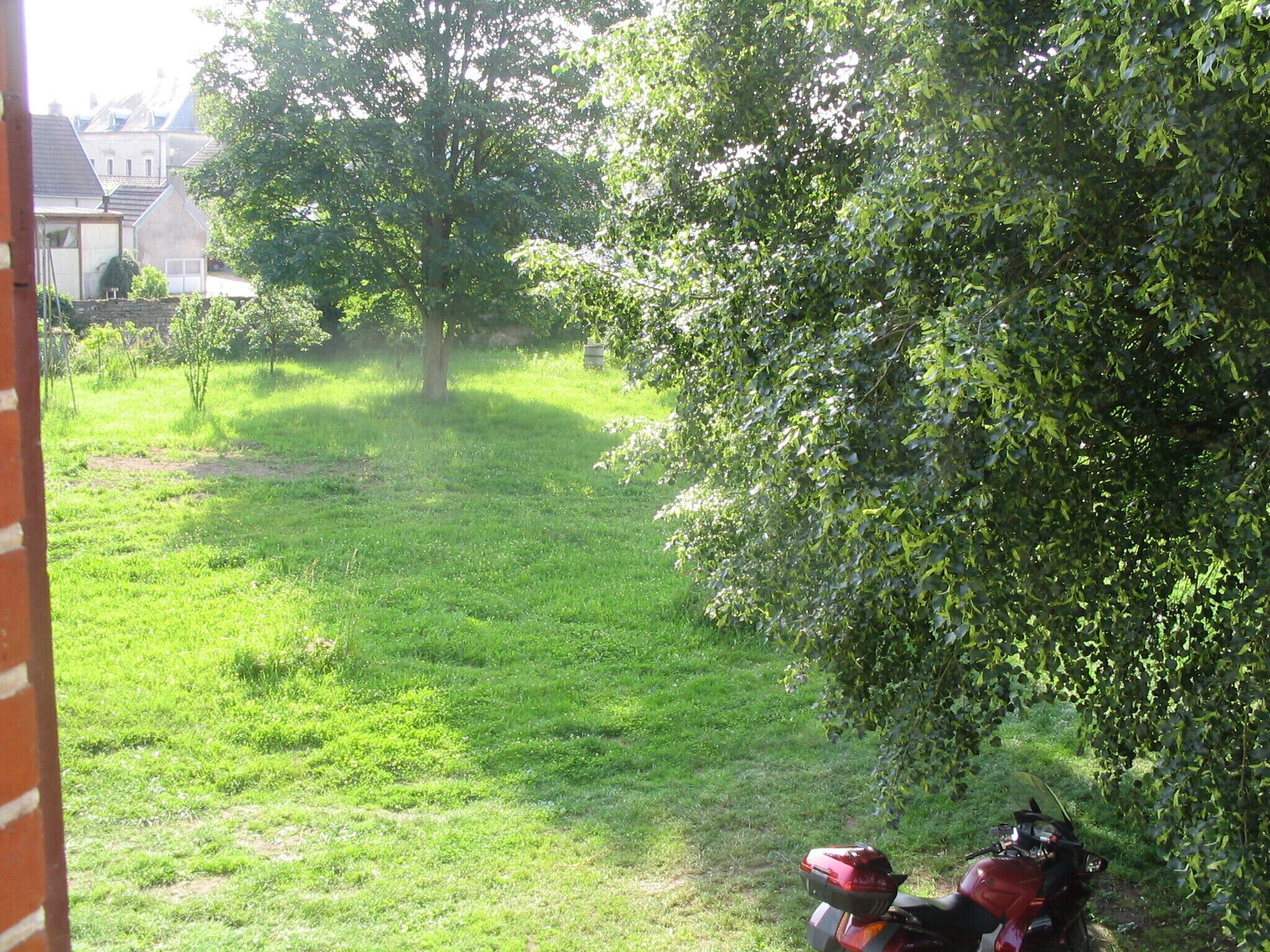 Un césped con una motocicleta roja aparcada bajo un árbol.