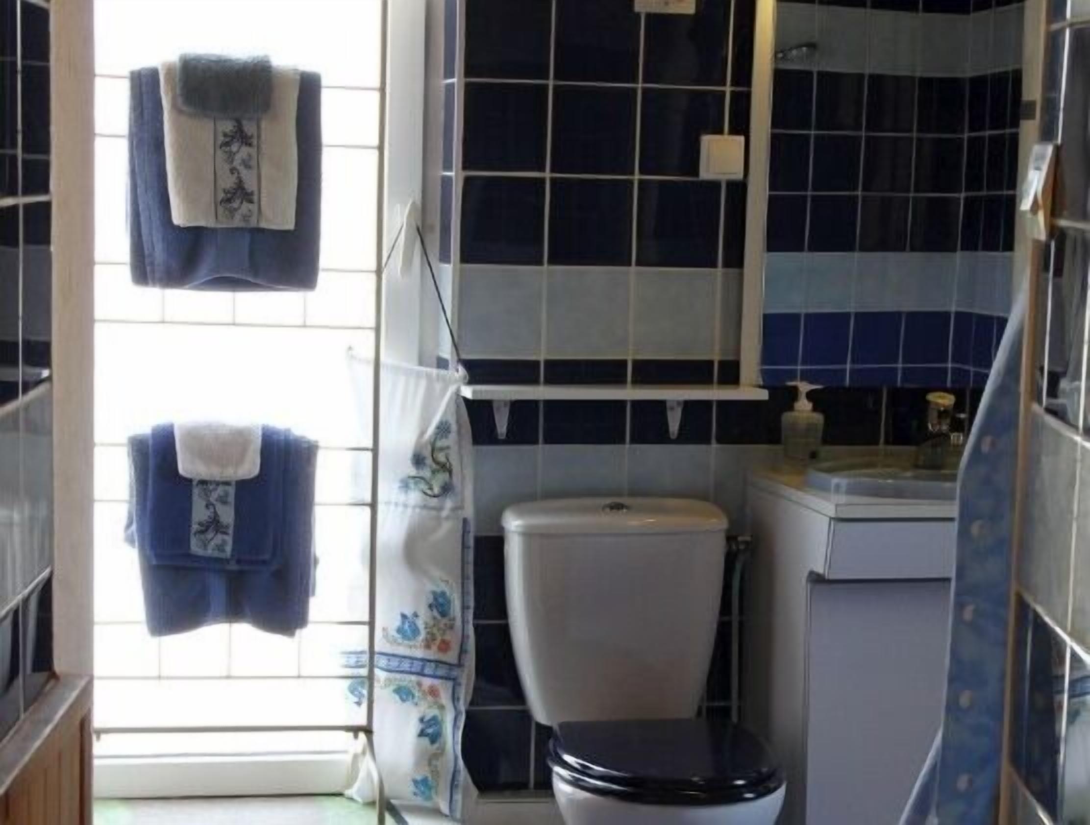 Un bagno con un water, un lavandino e uno specchio. Due asciugamani sono appesi a un portasciugamani.