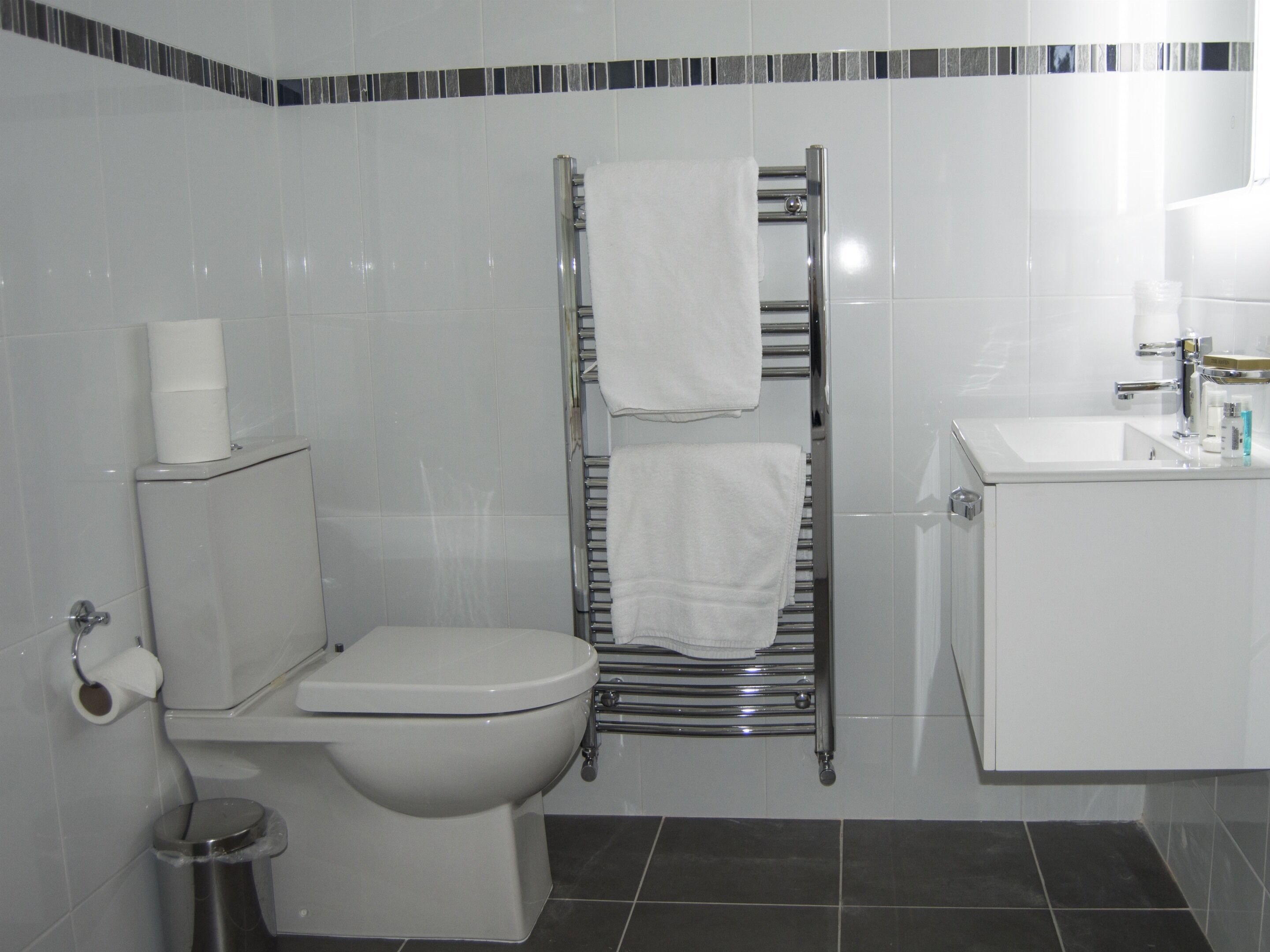 Une salle de bain comprenant des toilettes, un porte-serviettes avec deux serviettes, un lavabo avec des articles de toilette et une poubelle.
