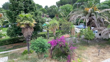 Apartment, 3 Bedrooms | View from room