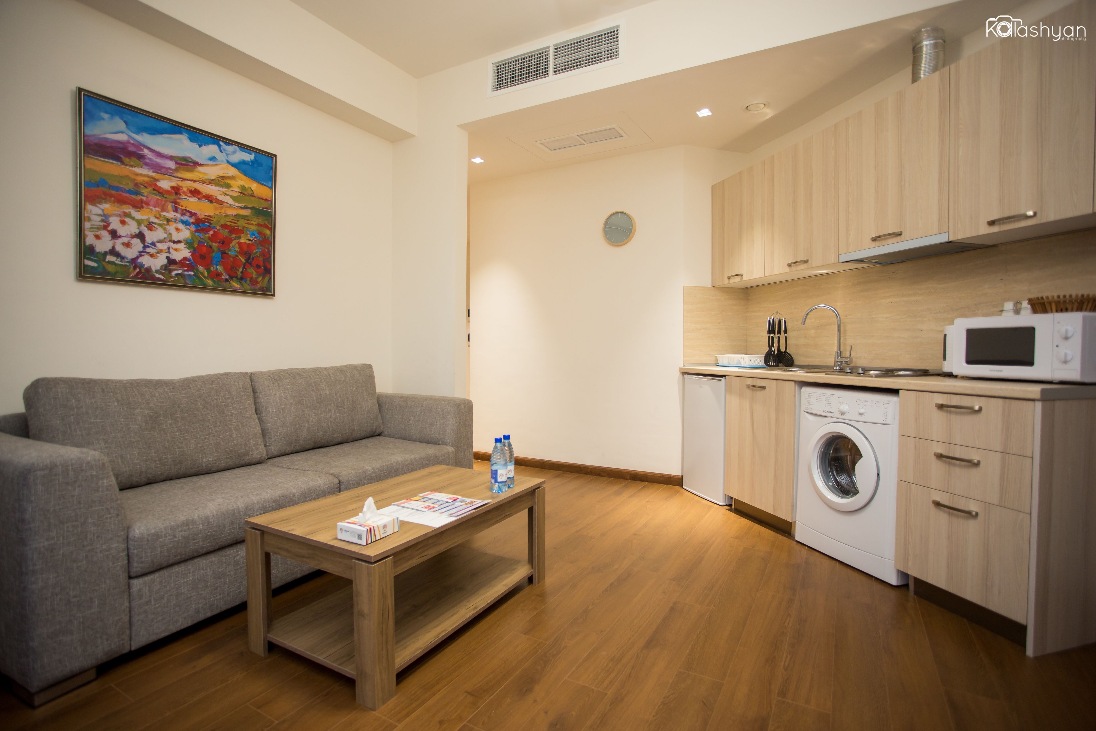 A modern living room with a grey sofa, a wooden coffee table, and a painting on the wall. A compact kitchen with a washing machine and microwave is visible.