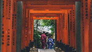 Un sendero bordeado por torii anaranjados que conduce a una estructura tradicional japonesa.