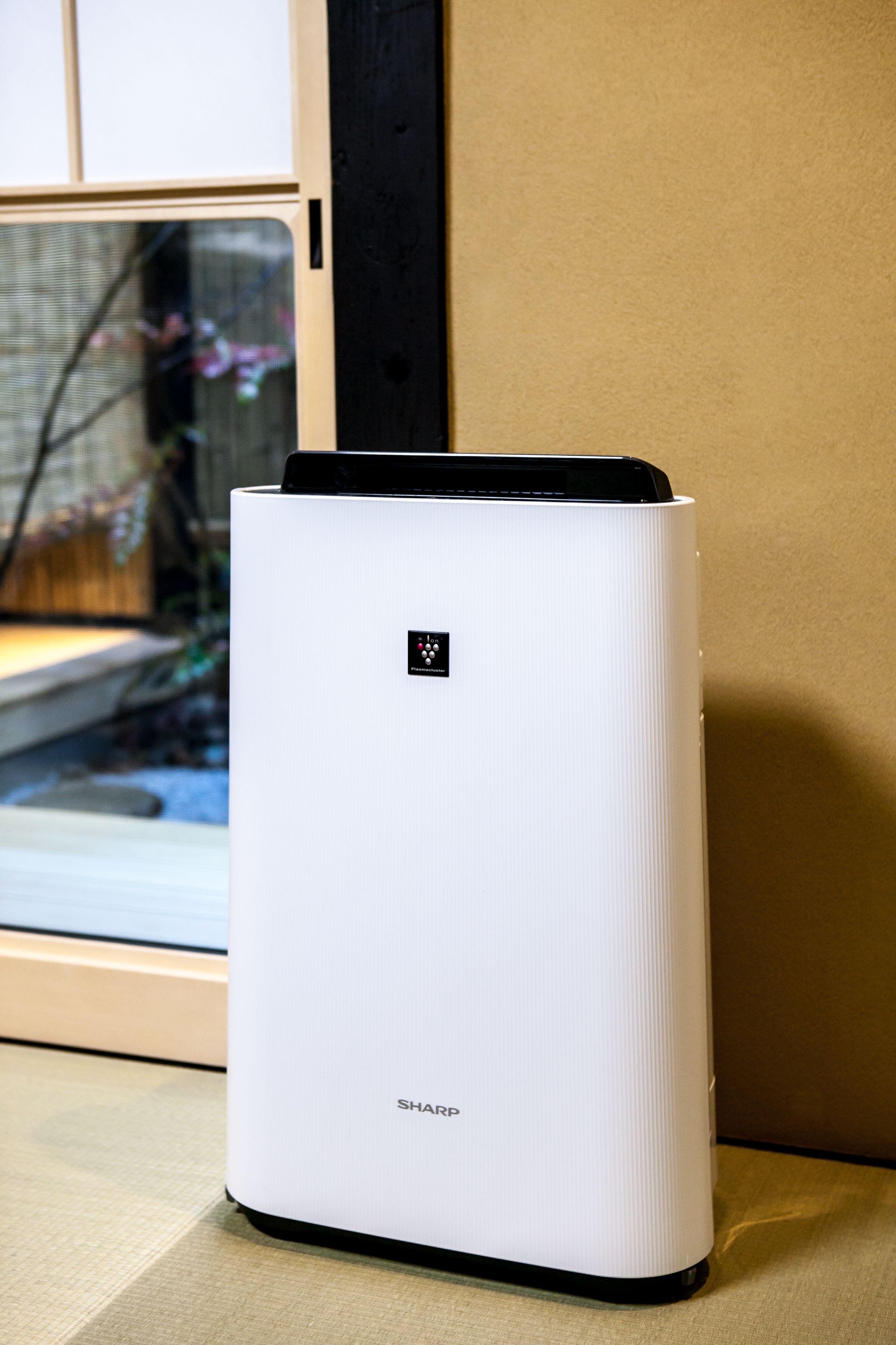 A white air purifier with the brand name "SHARP" on its base, placed on a textured surface near a window.