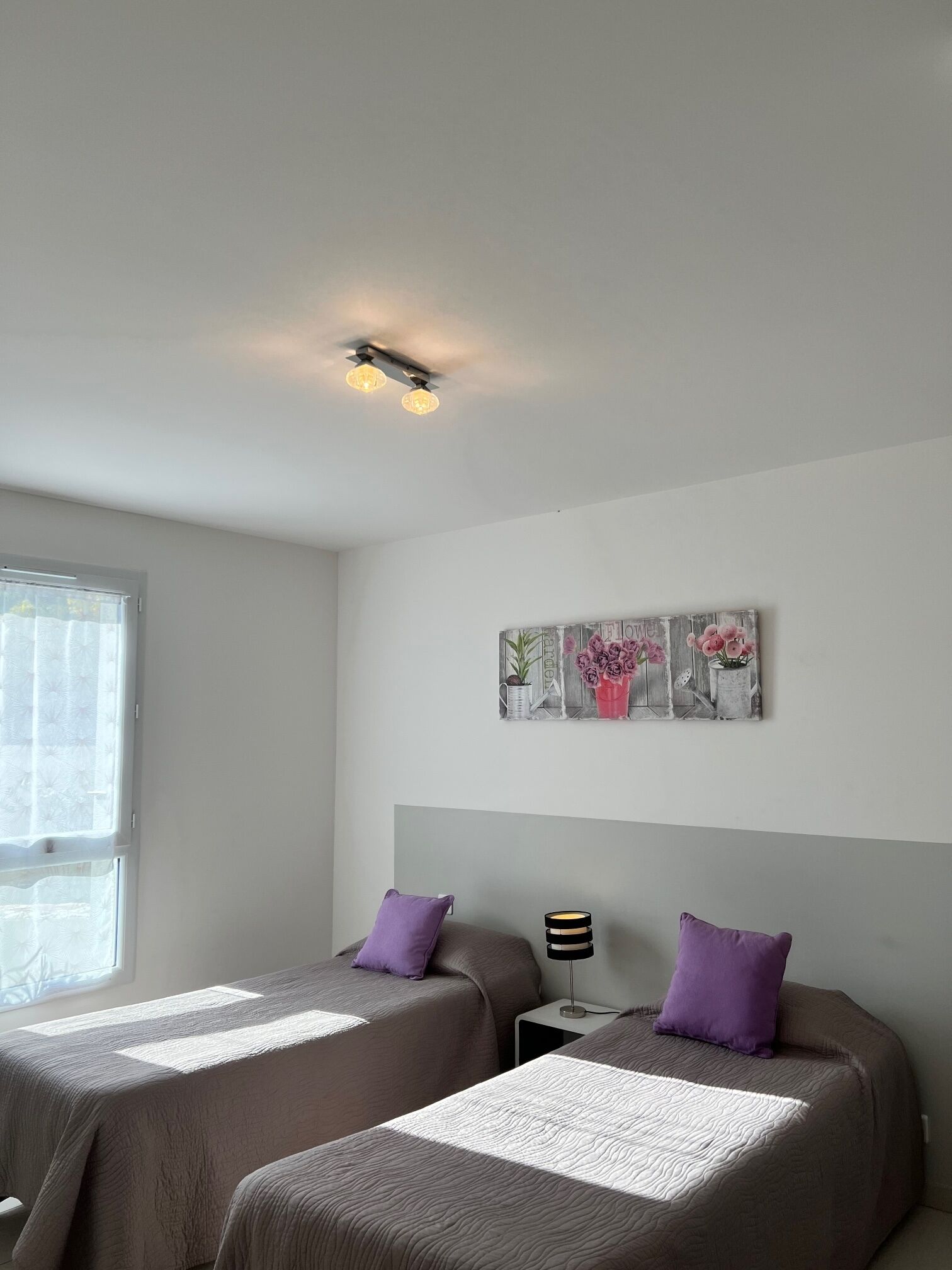 A bedroom with two beds, a ceiling light fixture, a window with curtains, and a wall-mounted artwork.