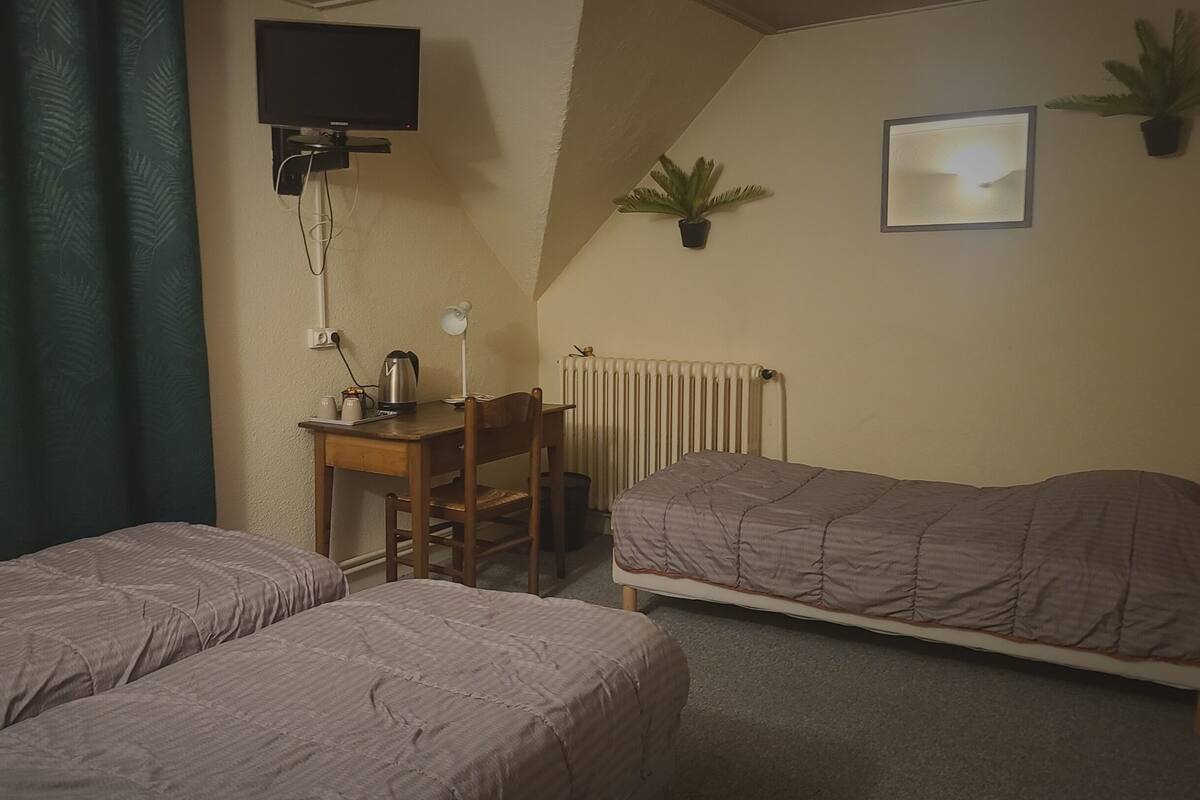 A small, cozy room with two single beds, a desk with a chair, a radiator, a TV mounted on the wall, and a potted plant.