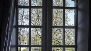 Uklassifisert bilde, 3 av 39, knapp