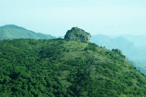 A lush green hill with a prominent rock formation in the center. - Tranquil Greens (Udumbanchola)