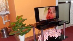 Une pièce avec un téléviseur posé sur un meuble, une plante en pot et une moquette rouge.