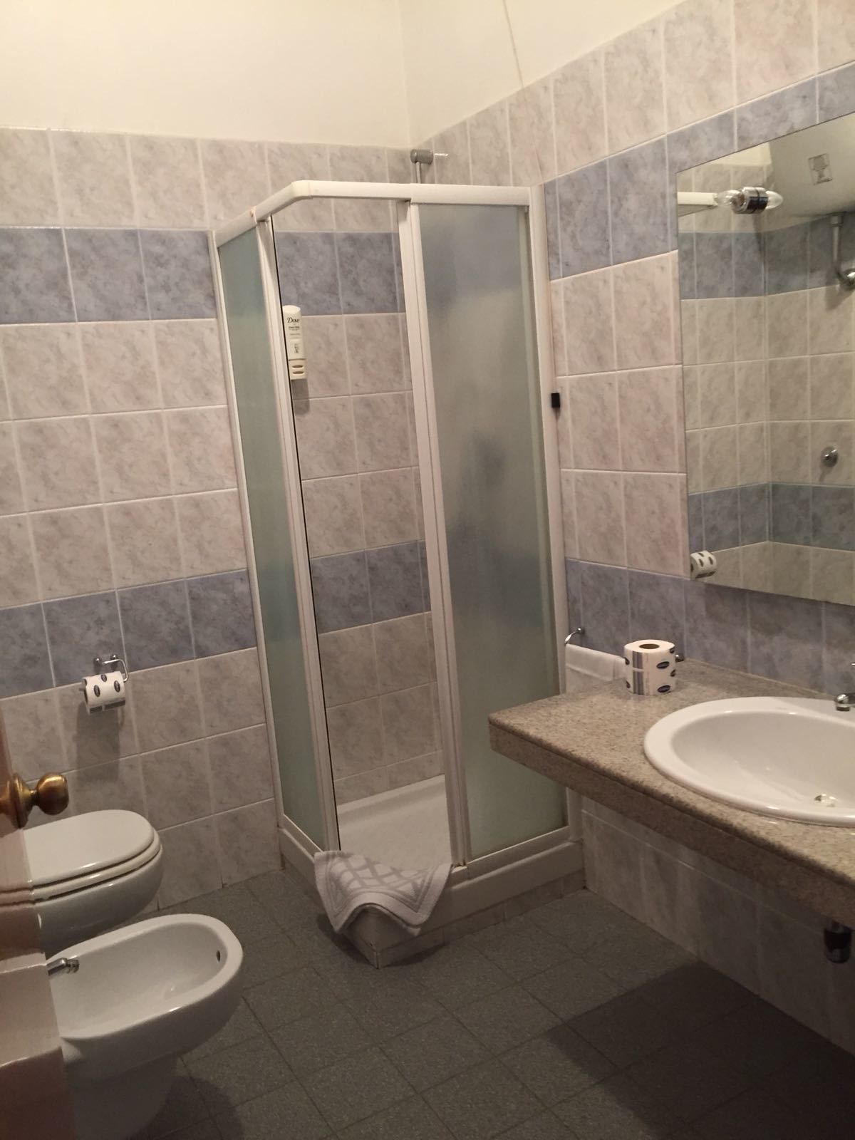 Douche, articles de toilette gratuits, sèche-cheveux, bidet