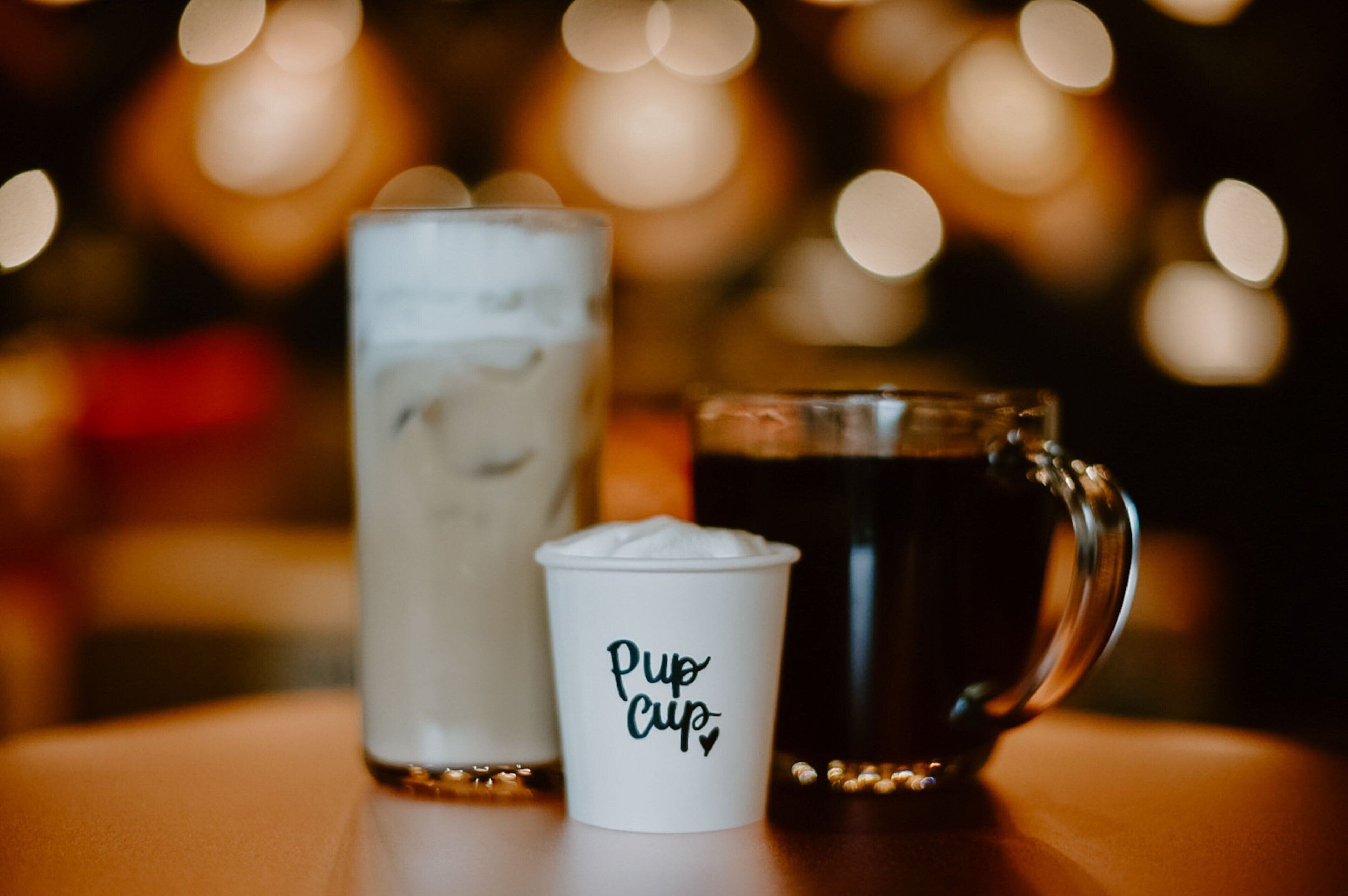 Lasi jääkahvia, lasi maitoa ja paperimuki, johon on kirjoitettu teksti ”Pup Cup”.