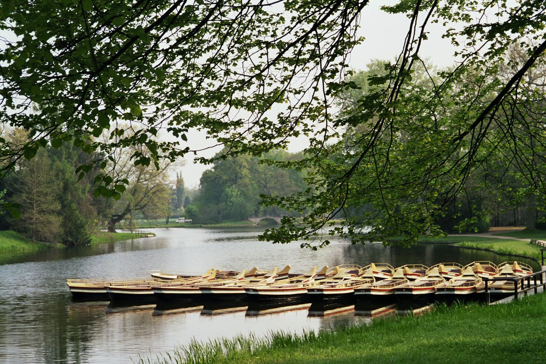 Eine Reihe von Ruderbooten liegt an einem ruhigen Fluss vor üppigem Grün und Bäumen.