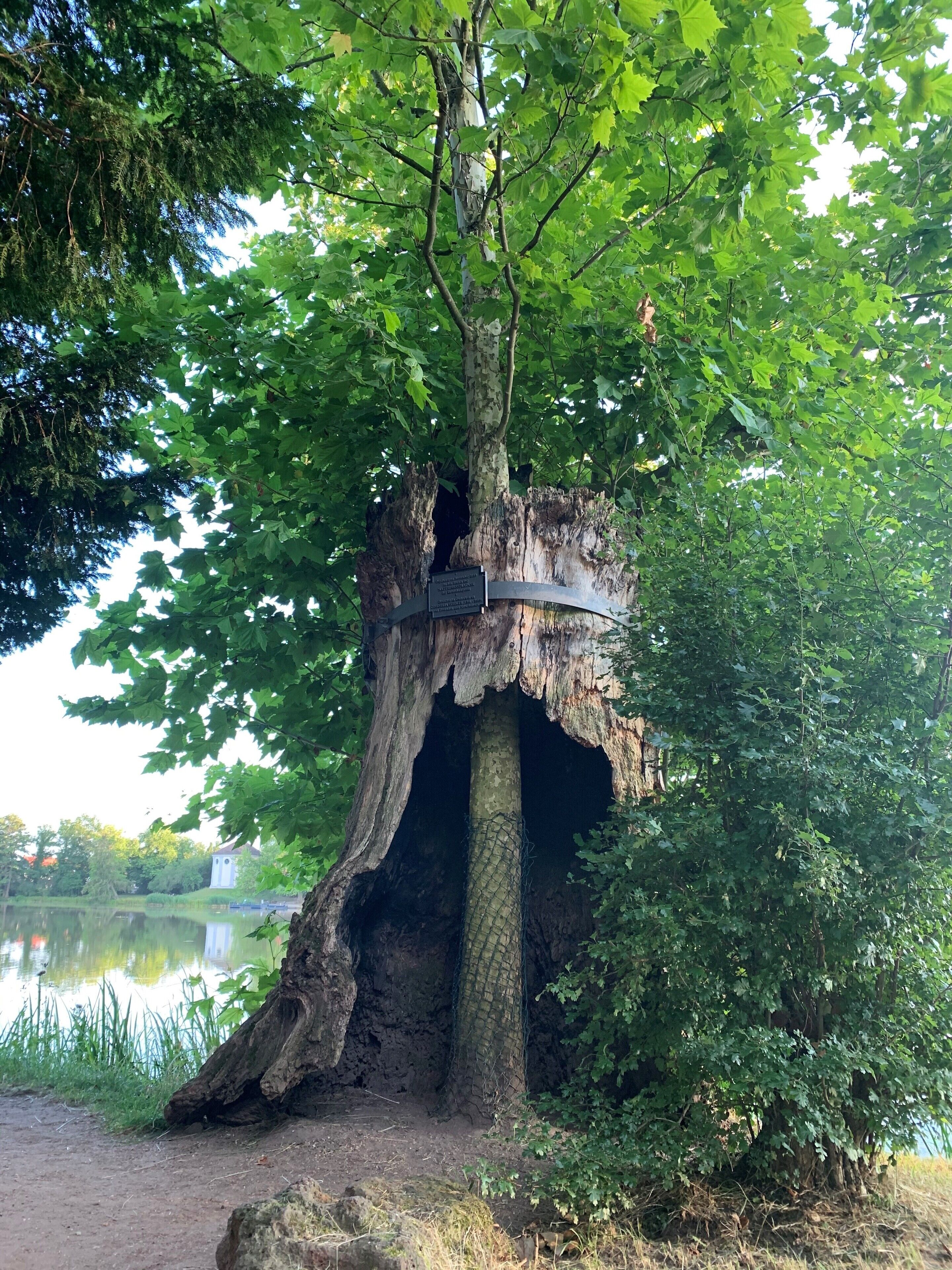 land view from property