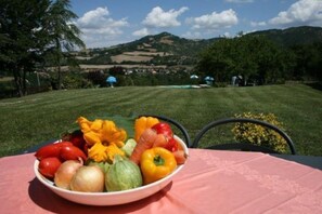 Lunch and dinner served - Cà Maggio Nuovo (Cagli)