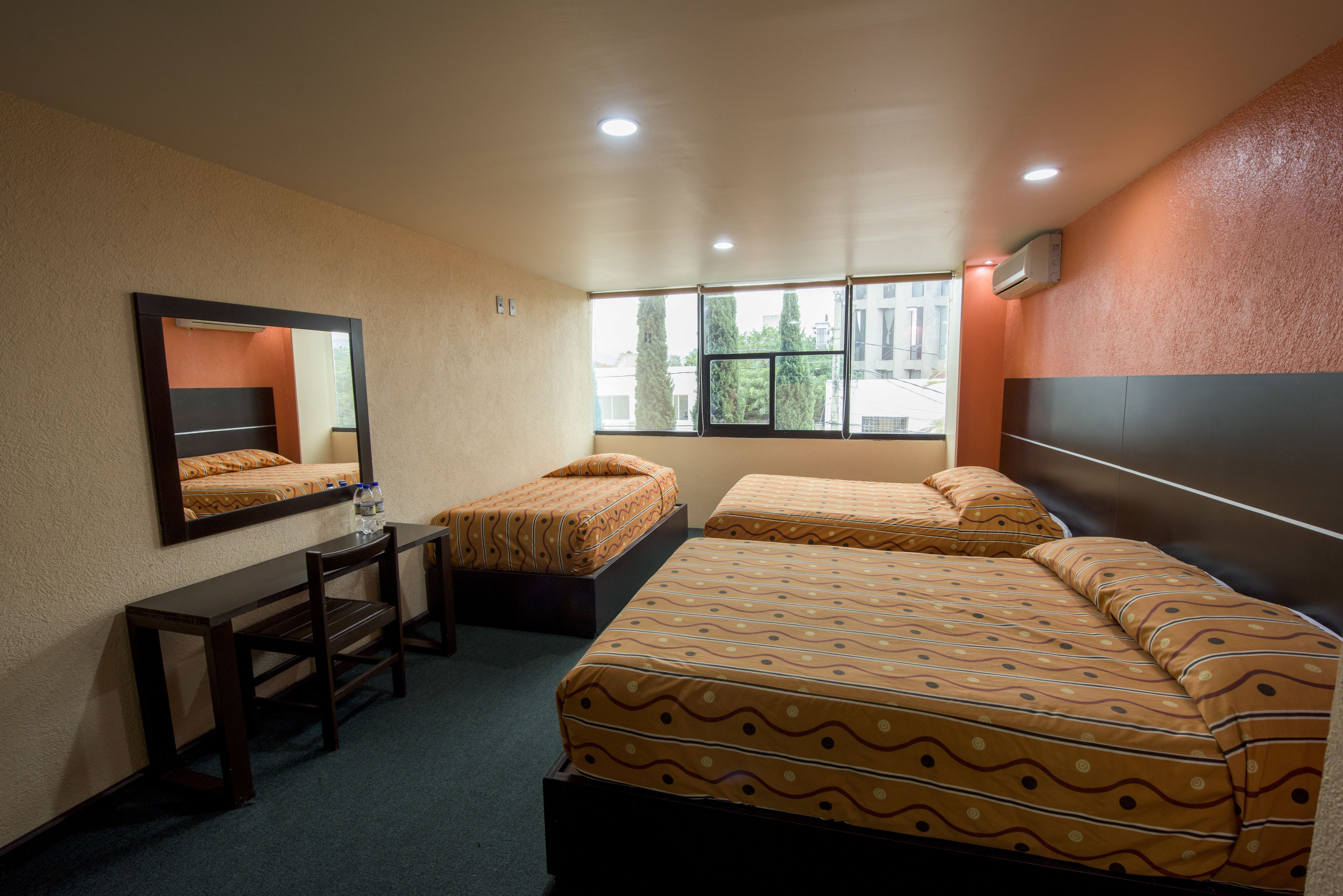 Foto - Oaxaca Inn Reforma