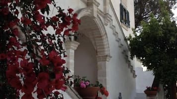 Facciata della struttura