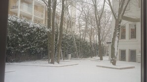 Un patio cubierto de nieve, con árboles y un edificio al fondo.