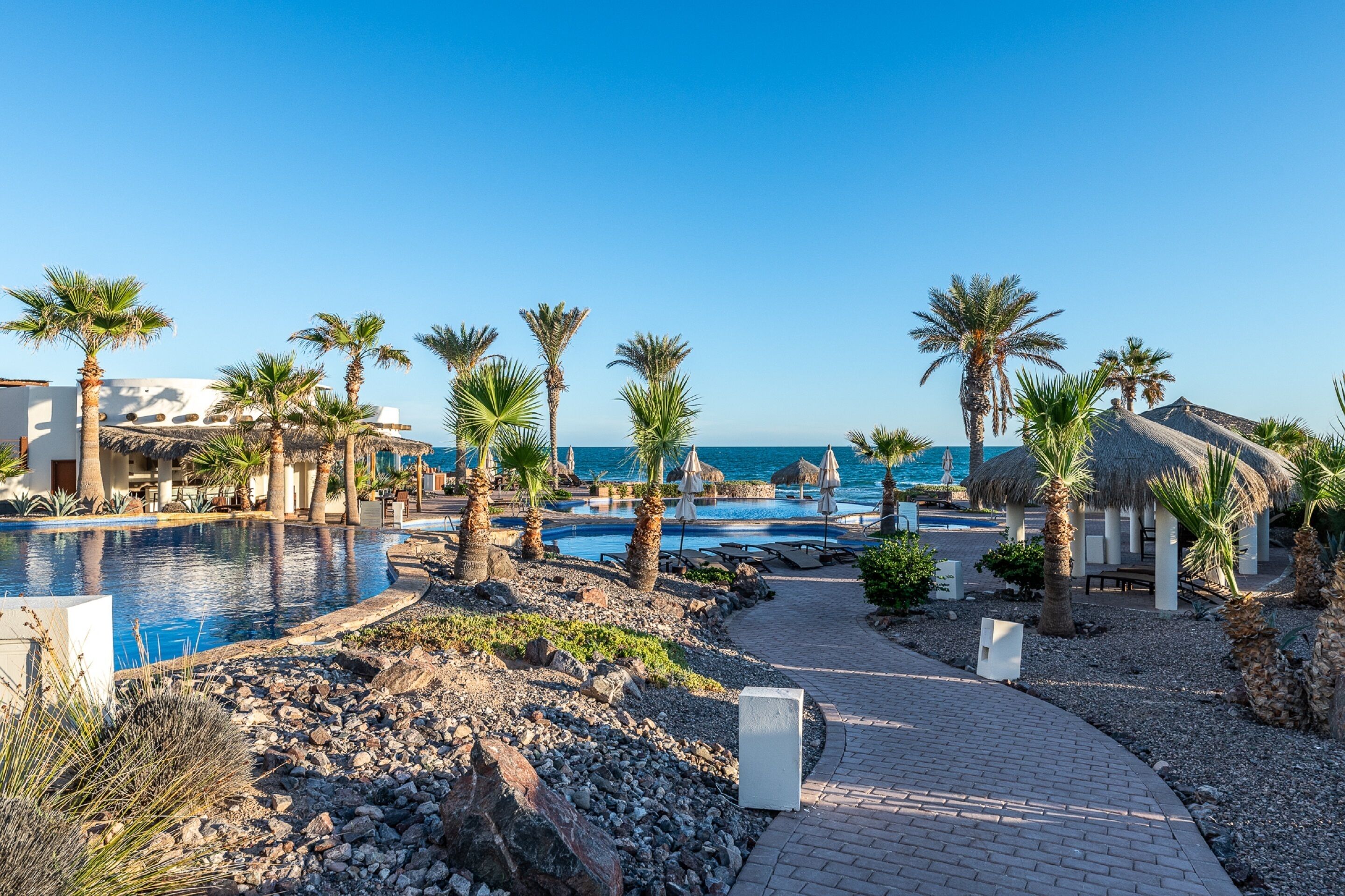Outdoor pool, pool umbrellas, sun loungers