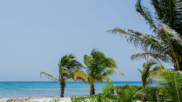 Beach - Villas Posada Xaguar by ChezPlaya (Playa del Carmen)