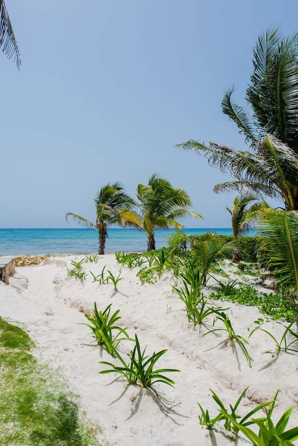 Beach nearby - Villas Posada Xaguar by ChezPlaya (Playa del Carmen)