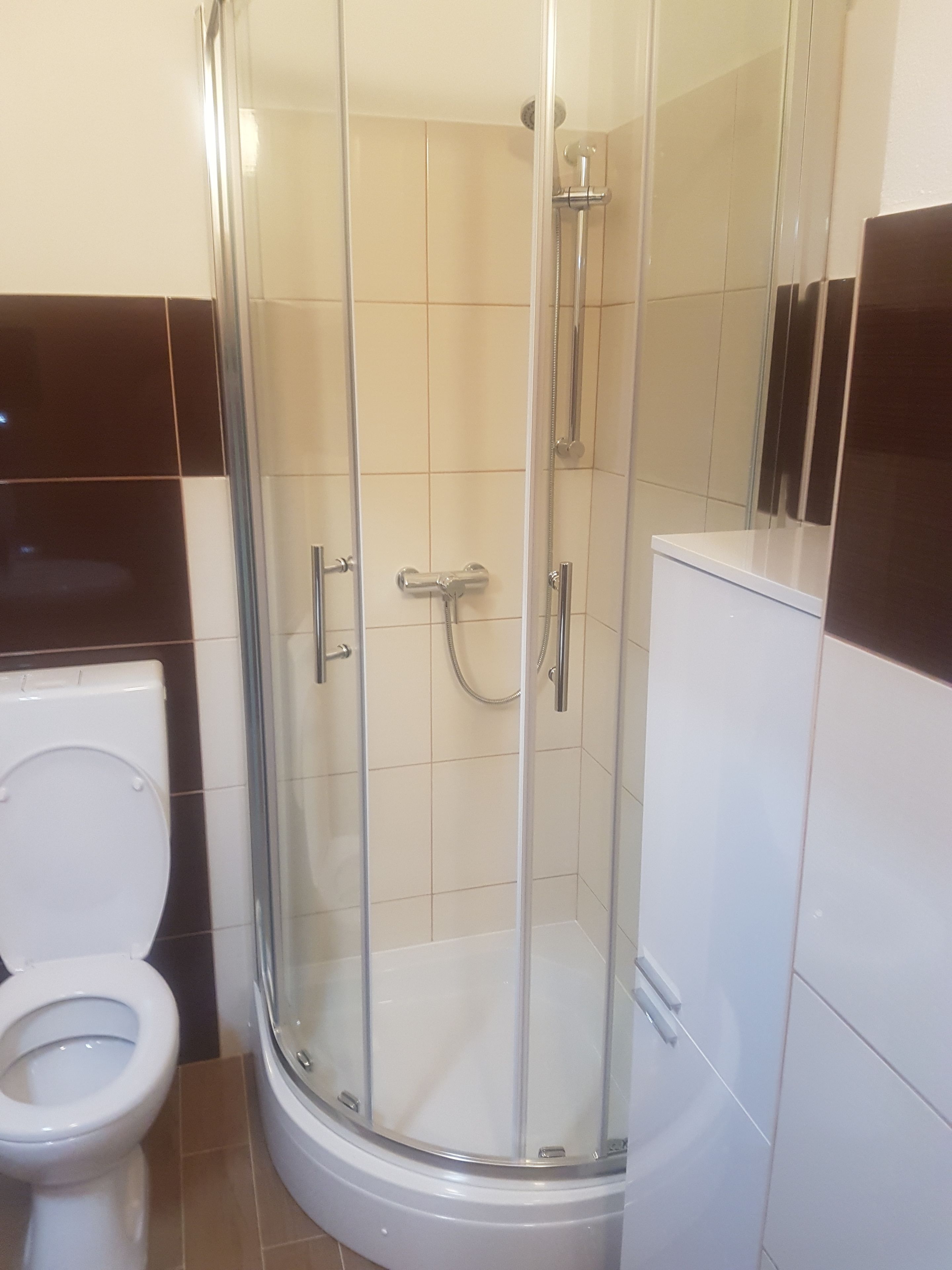 A bathroom with a glass-enclosed shower, a toilet, and a sink.