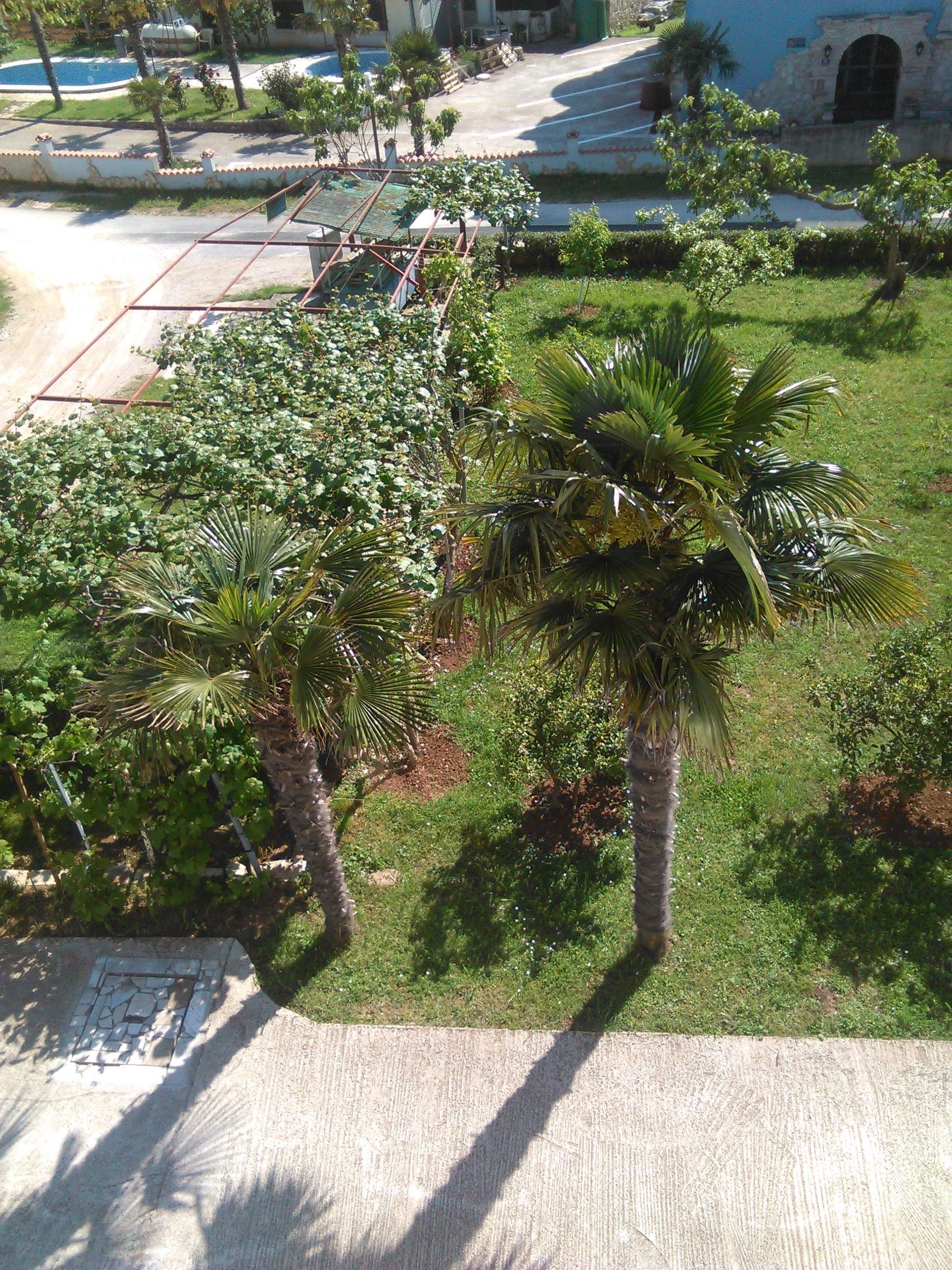 Foto - Apartments Zova