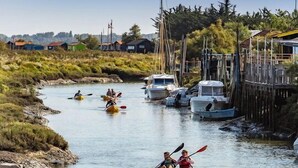 Kayakistas en un río con embarcaciones amarradas cerca.