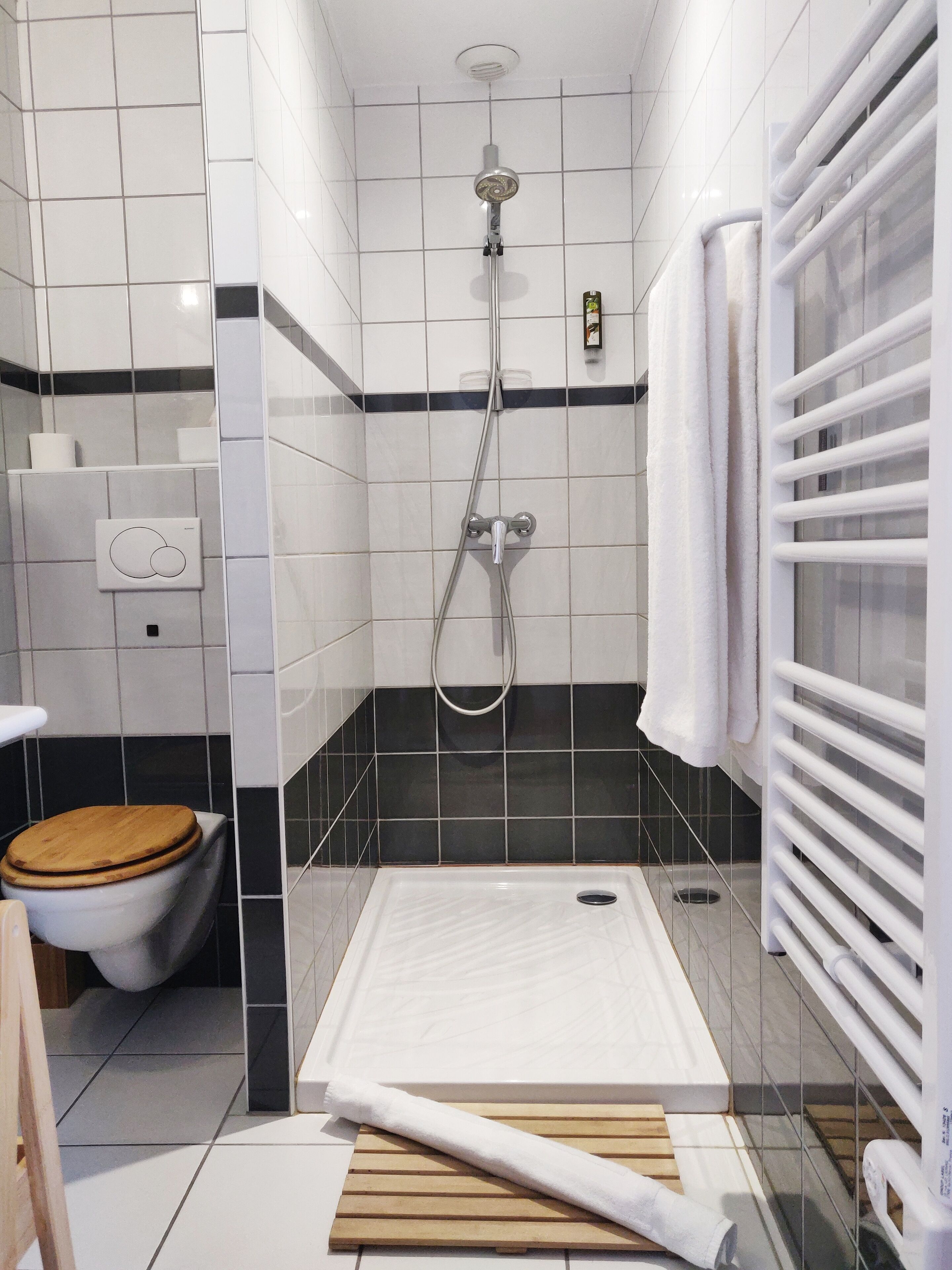 shower, eco-friendly toiletries, hair dryer, towels