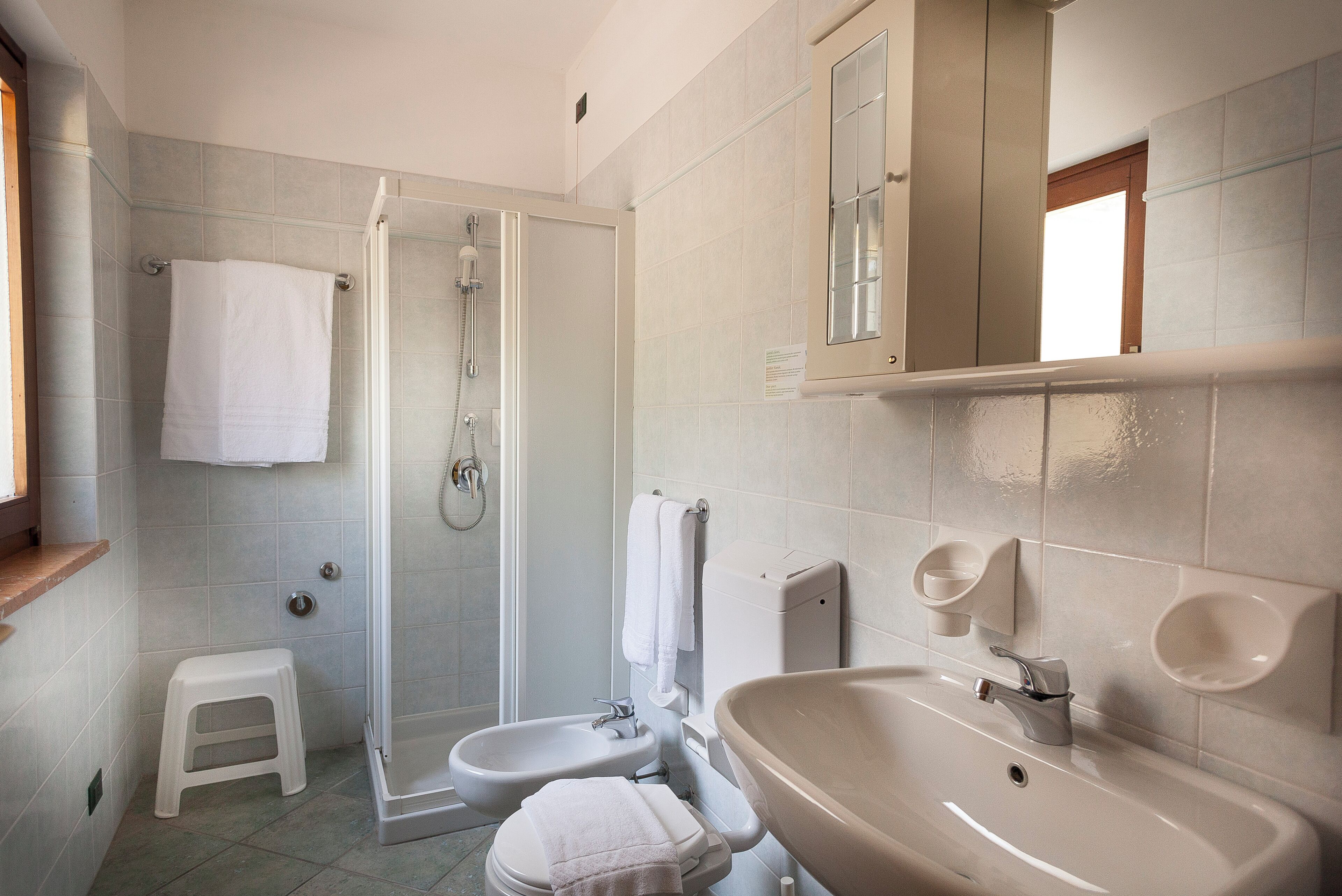 A bathroom with a shower, toilet, bidet, and sink.