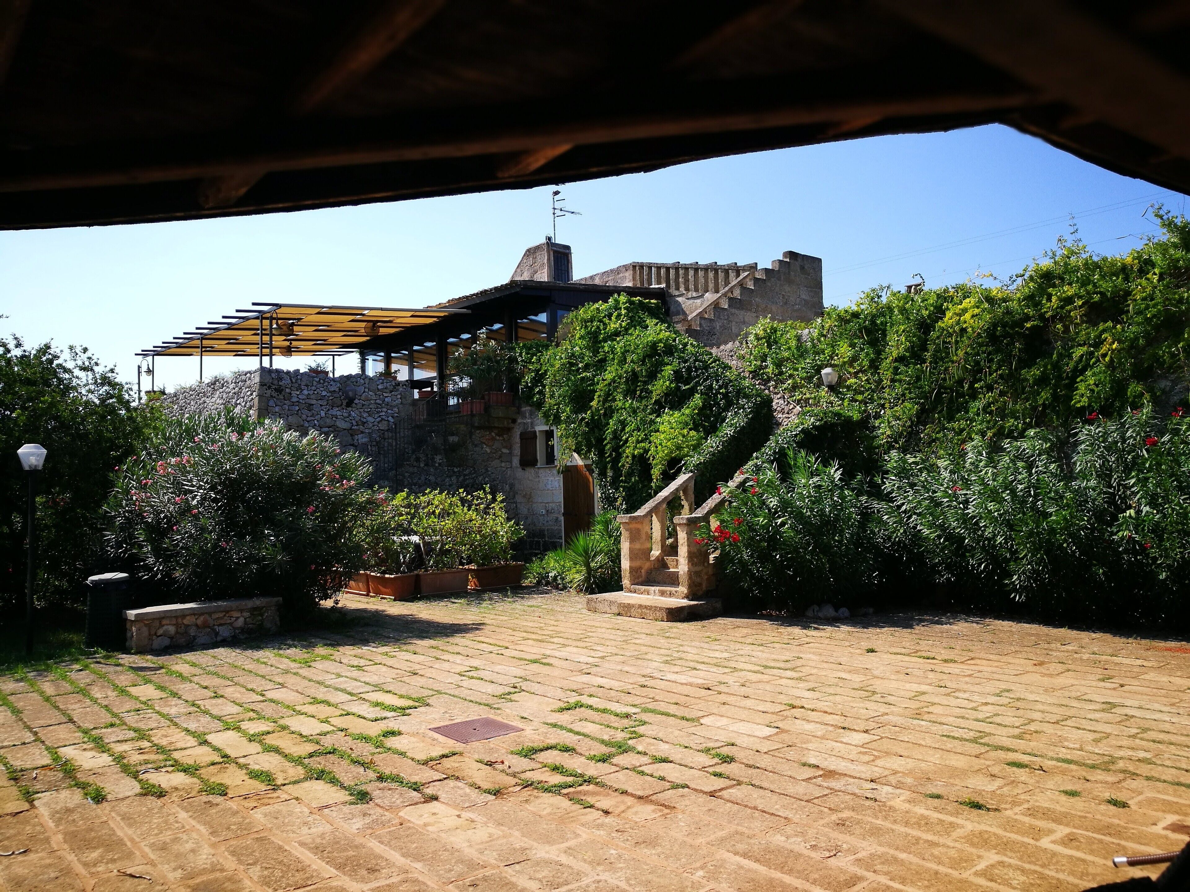 En udendørs patio med flisebelagte gulve, en pergola og frodig beplantning.