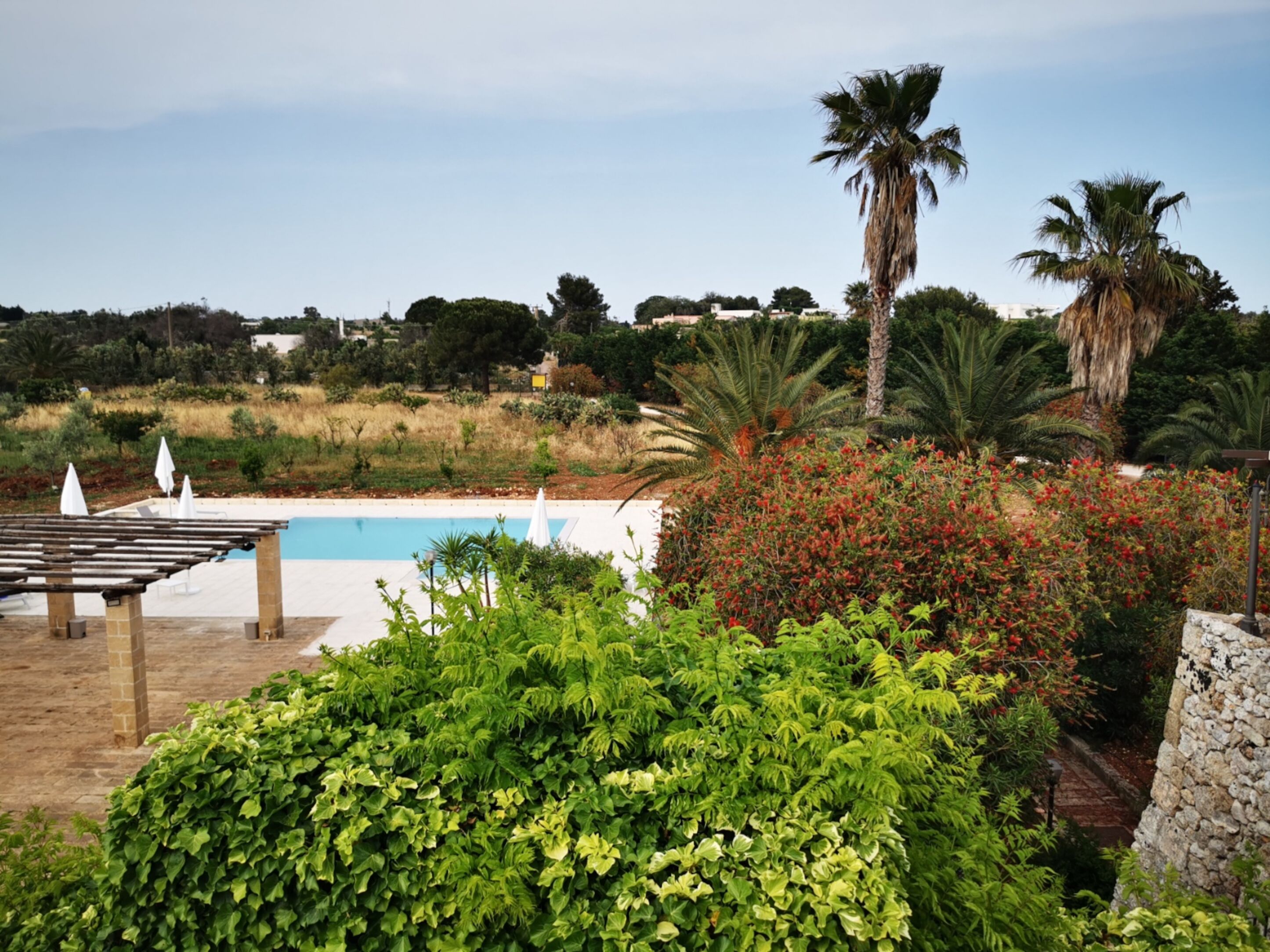 A pool area with a pergola, palm trees, and lush greenery.