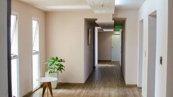 A spacious hallway with wooden flooring, a potted plant, and a yellow chair.