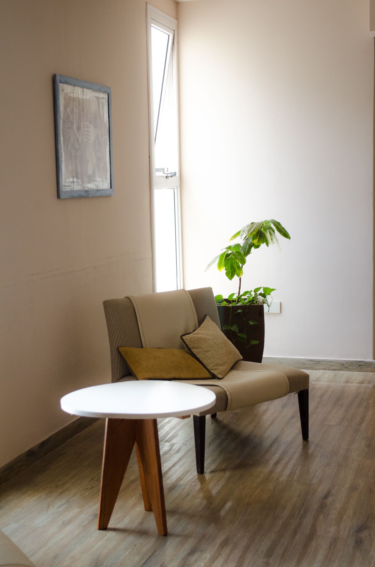 Foto - Hotel Continental