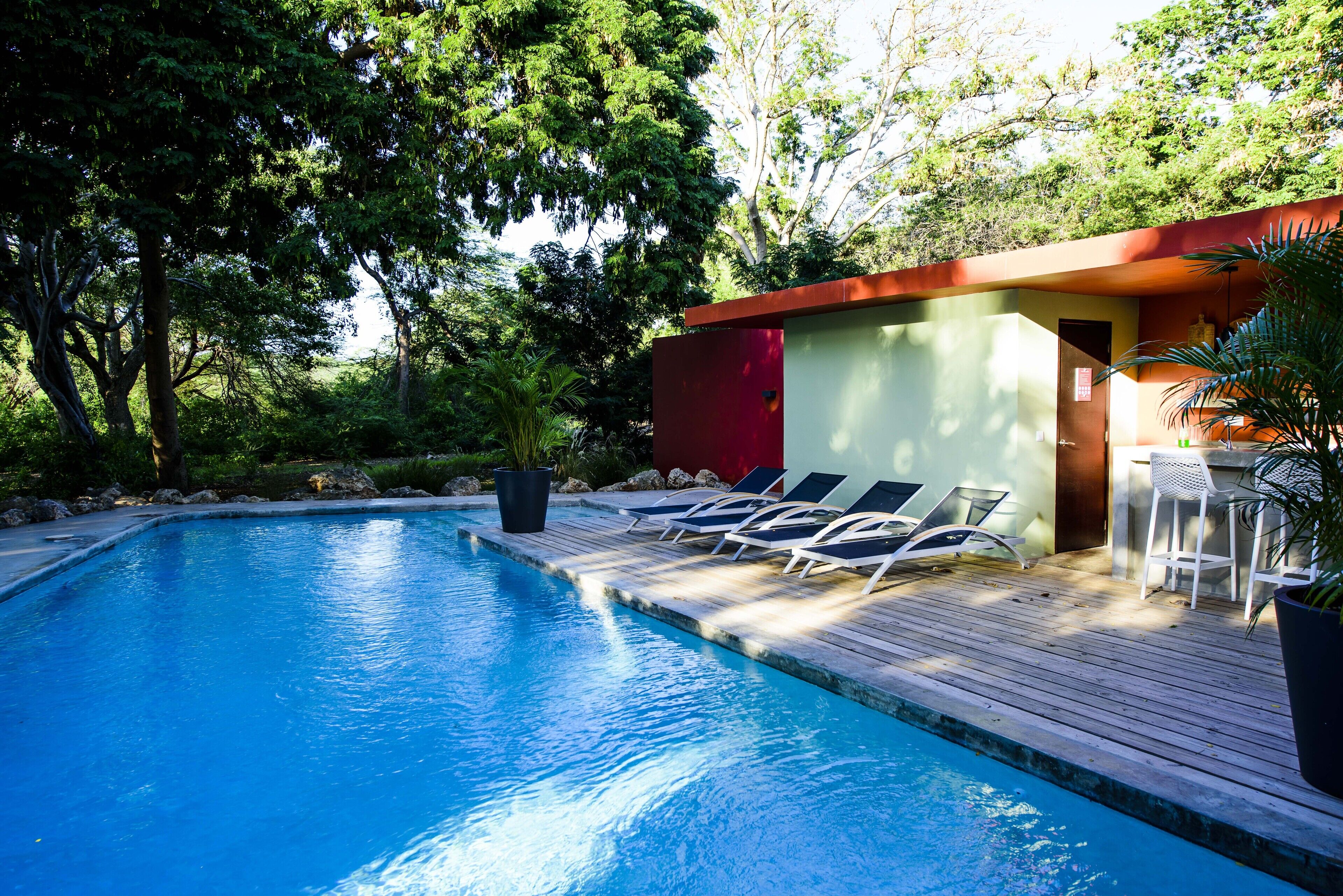 outdoor pool, pool loungers