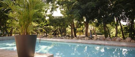 Outdoor pool, sun loungers