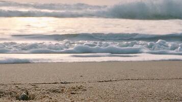 Waves gently approach the shore, where pebbles and sand meet the ocean.