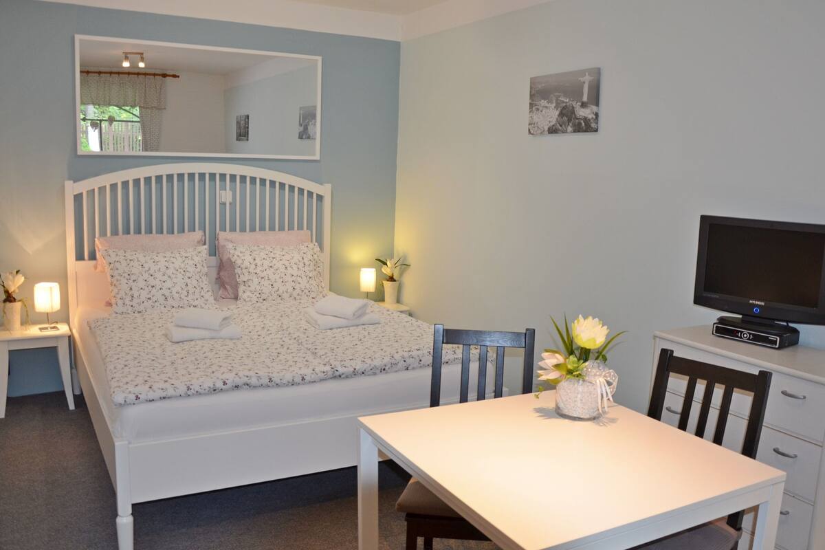 Appartement Classique, 1 grand lit