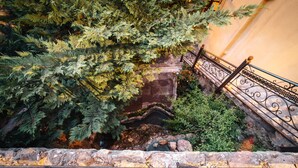 Garden - Rigas Pension (Nafplio)