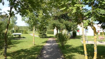 Children's activities