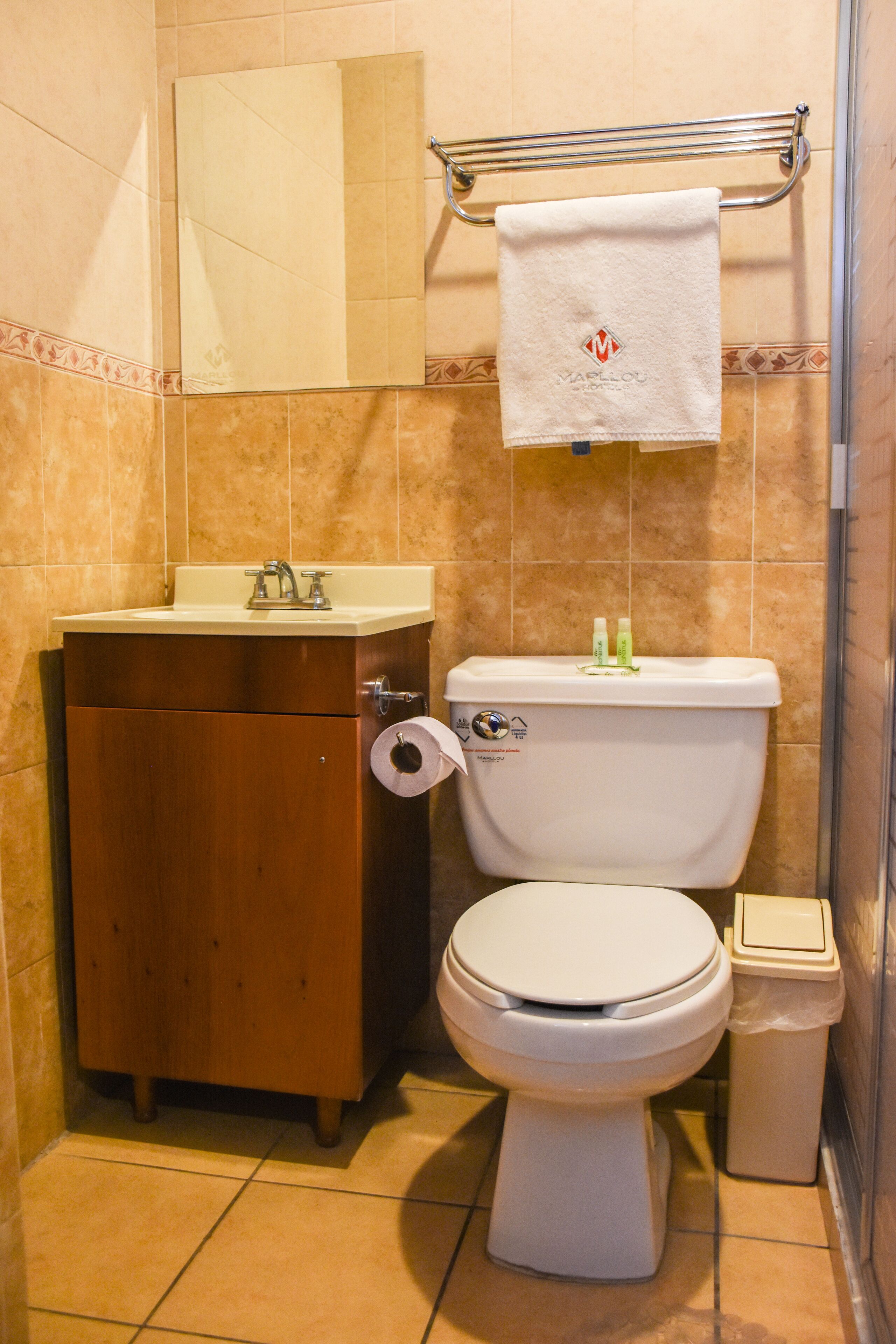 shower, free toiletries, towels