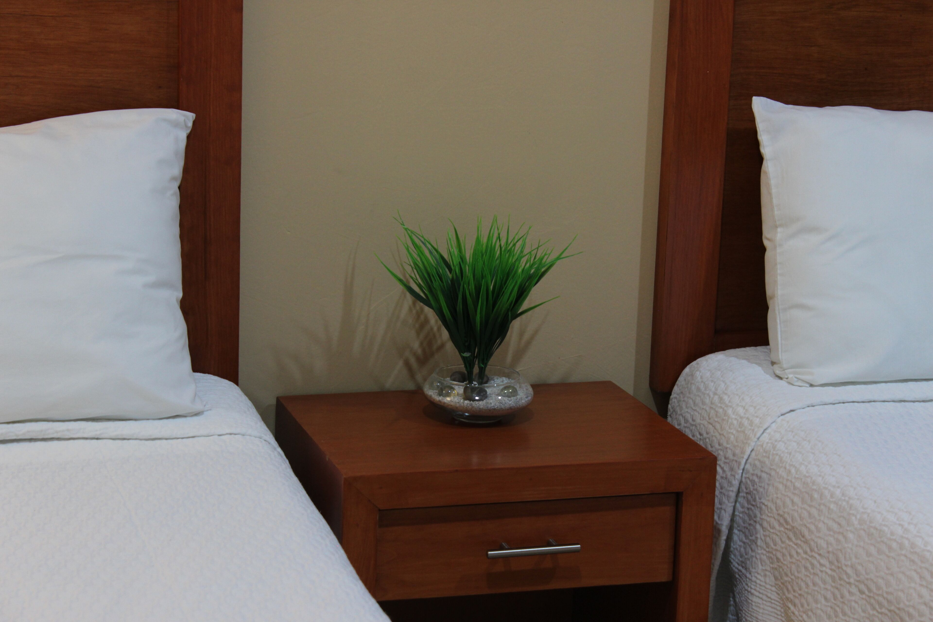 A bedroom with two single beds, a wooden nightstand with a drawer, and a small potted plant on the nightstand.