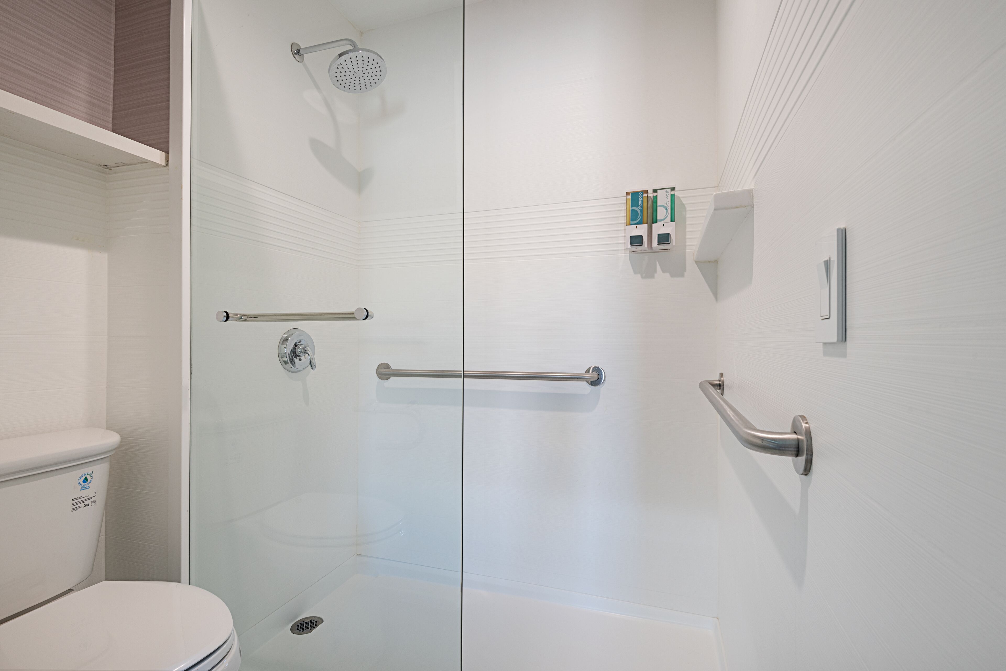 A modern bathroom with a glass shower enclosure, grab bars, and a toilet.
