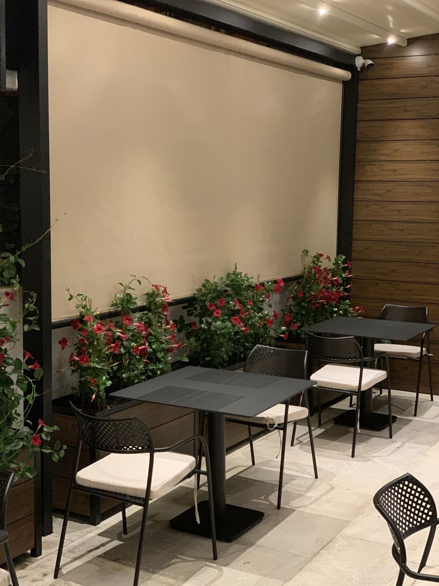 An outdoor dining area with tables and chairs, surrounded by potted plants and flowers.