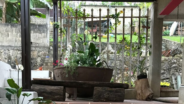 A set of terracotta brick steps leading up to a covered porch area with potted plants and a frog statue. - Hotel Casa Jose Coban (Cobán)