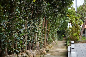 Terraço/pátio
