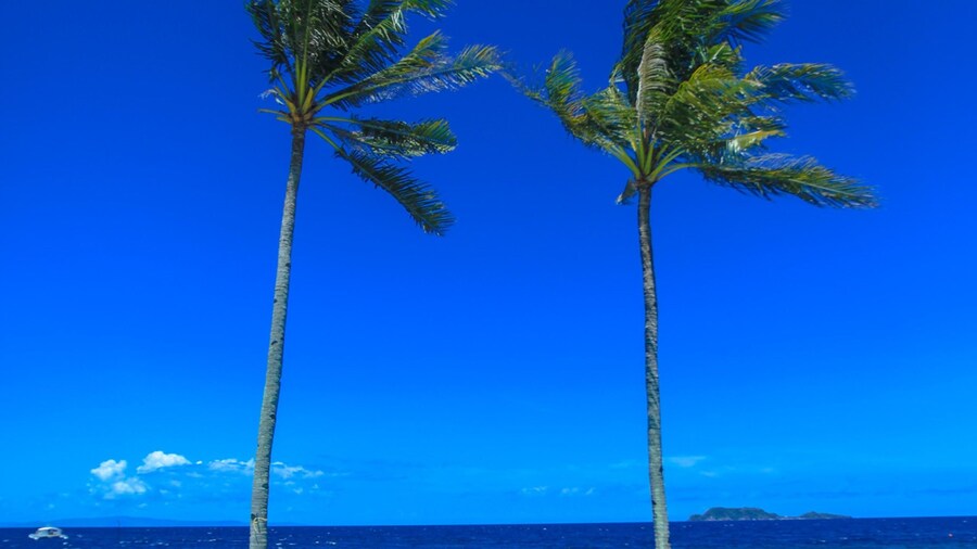 Allura Resort Dive and Spa