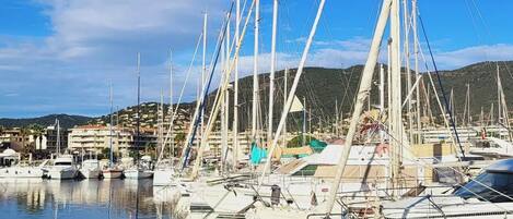 A marina with multiple sailboats docked, calm water, and buildings in the background.