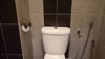 A bathroom with a toilet, a bidet, and a shower.
