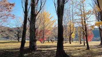 Un parque con árboles y un lago al fondo.